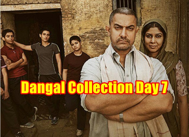 Dangal 3 Cover