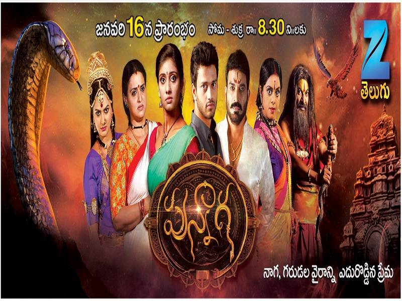 punnaga telugu serial