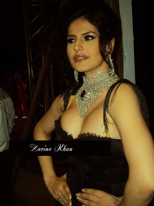 Zarine khan hot photo 2015