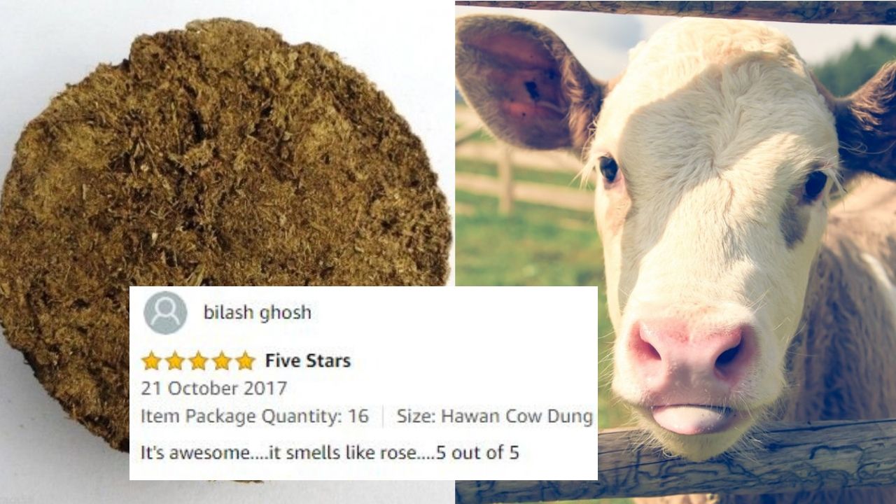Flipkart And Amazon Sell Cow Dung Cakes For Rs 649 People Gave