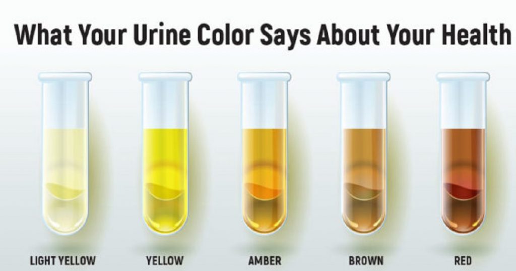 Heres What The Color Of The Urine Says About Your Body Filmymantra
