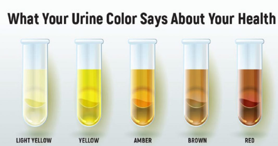 urine health