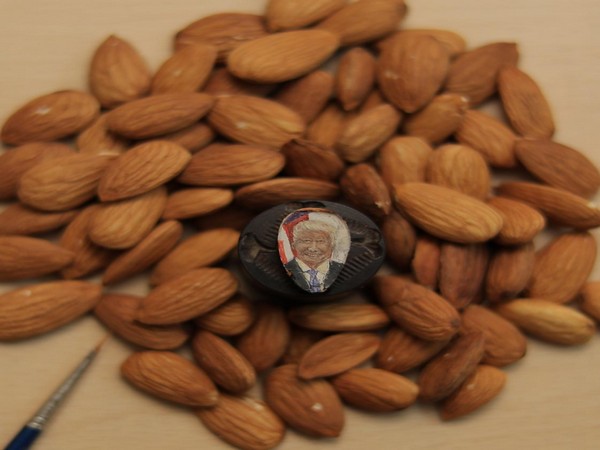 Aman Singh Gulati made a potrait of Donald Trump on an almond 