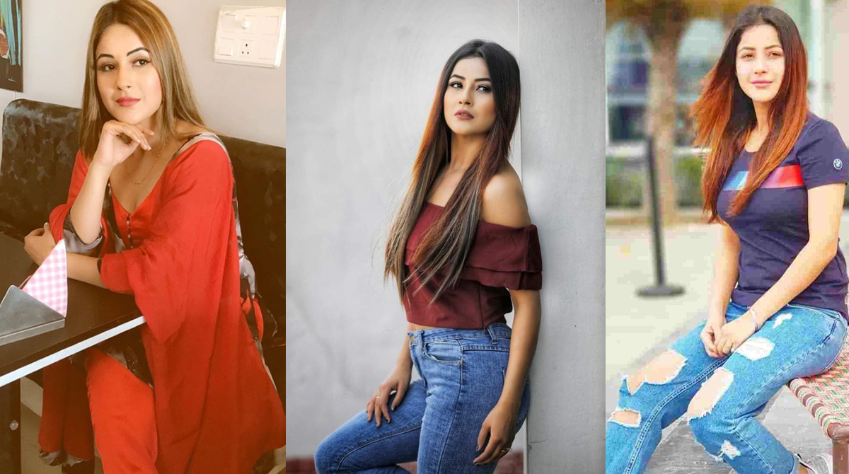 Shehnaaz Gill to work with this famous Punjabi singer in a music video!