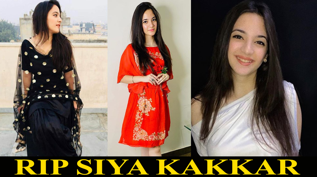 Tik Tok star Siya Kakkar commits suicide; Check her last post
