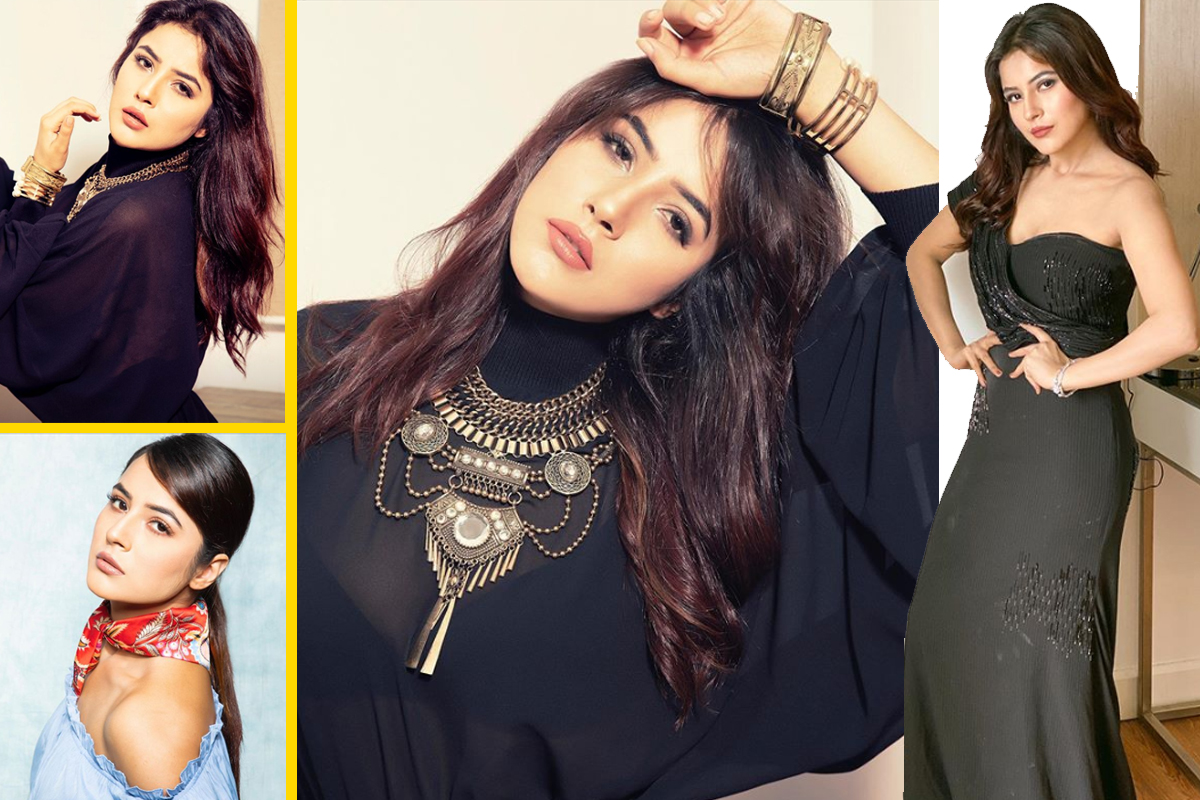 You can't take your eyes off from Shehnaaz Gill's latest photoshoot!