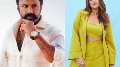 NBK108: Did Sonakshi Sinha miss out on a major south film?