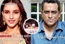 Did Animal took Aashiqui 3 from Tripti Dimri ?