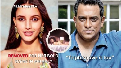 Did Animal took Aashiqui 3 from Tripti Dimri ?