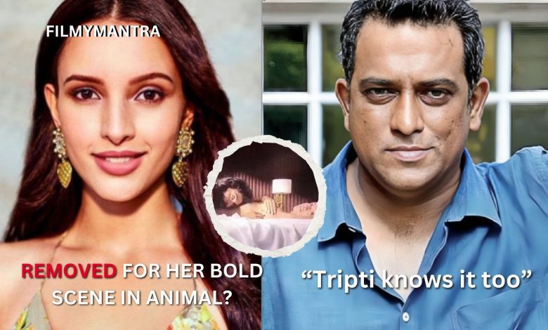 Did Animal took Aashiqui 3 from Tripti Dimri ?